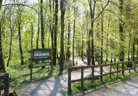 A Comfortable Stay In Ballybofey Eksteriør bilde